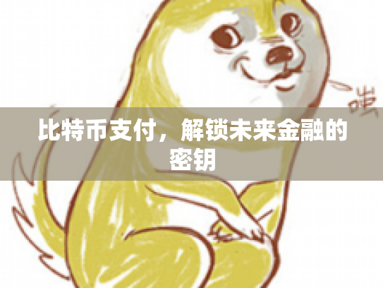 比特币支付，解锁未来金融的密钥