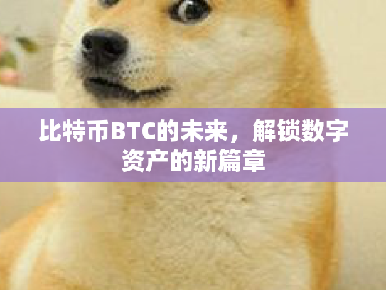 比特币BTC的未来，解锁数字资产的新篇章