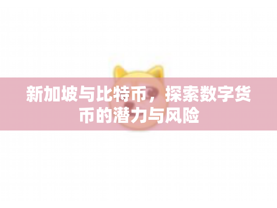新加坡与比特币,探索数字货币的潜力与风险 新加坡与比特币,探索数字货币的潜力与风险
