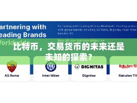 比特币，交易货币的未来还是未知的探索？