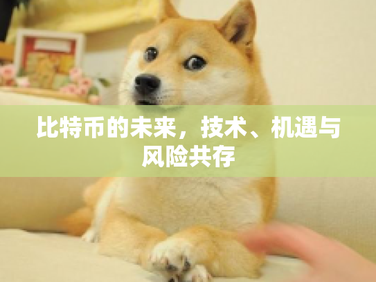 比特币的未来，技术、机遇与风险共存