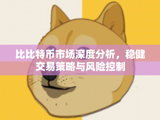 比比特币市场深度分析，稳健交易策略与风险控制