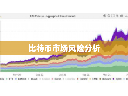 比特币市场风险分析