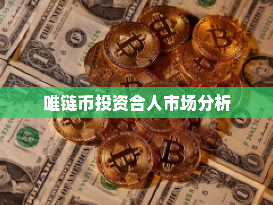 唯链币投资合人市场分析