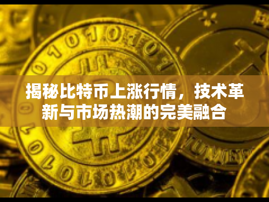 揭秘比特币上涨行情，技术革新与市场热潮的完美融合