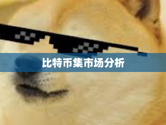 比特币集市场分析 比特币集市场分析