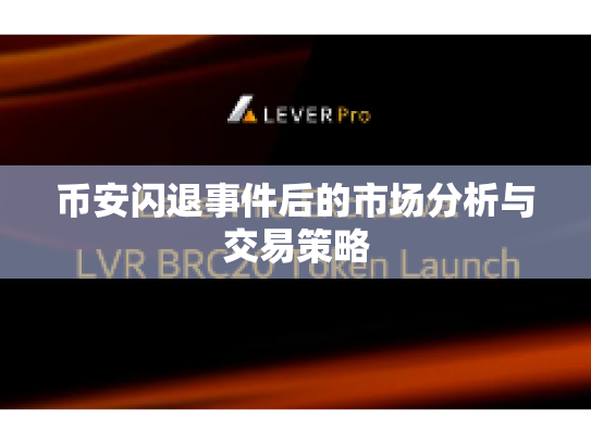 币安闪退事件后的市场分析与交易策略 币安闪退事件后的市场分析与交易策略