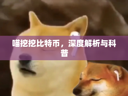 喵挖挖比特币,深度解析与科普 喵挖挖比特币,深度解析与科普