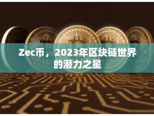 Zec币，2023年区块链世界的潜力之星