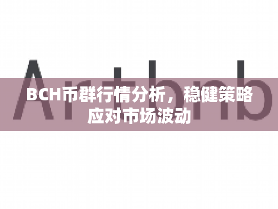 BCH币群行情分析，稳健策略应对市场波动
