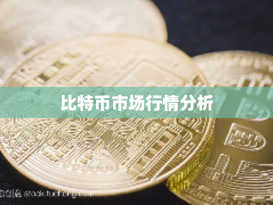 比特币市场行情分析