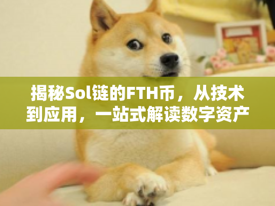 揭秘Sol链的FTH币，从技术到应用，一站式解读数字资产新机遇