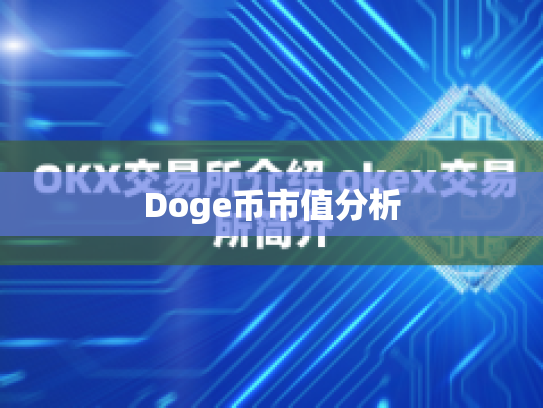 Doge币市值分析