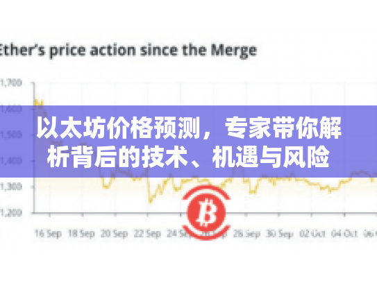 以太坊价格预测，专家带你解析背后的技术、机遇与风险