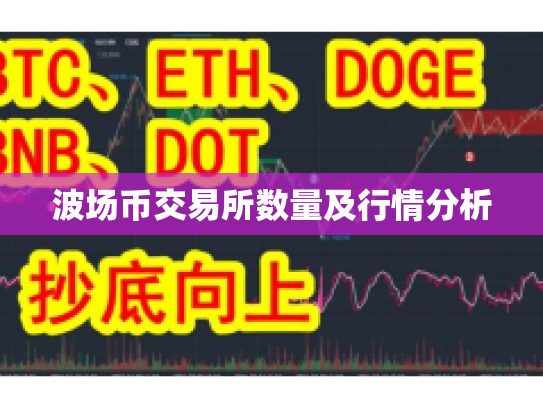 波场币交易所数量及行情分析