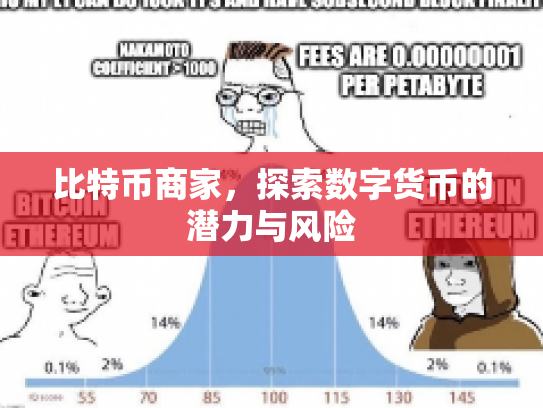 比特币商家，探索数字货币的潜力与风险