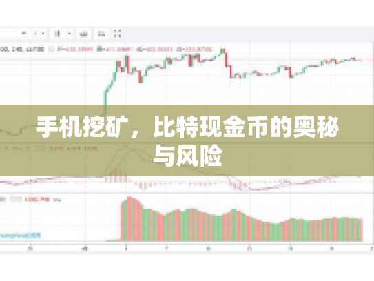 手机挖矿，比特现金币的奥秘与风险