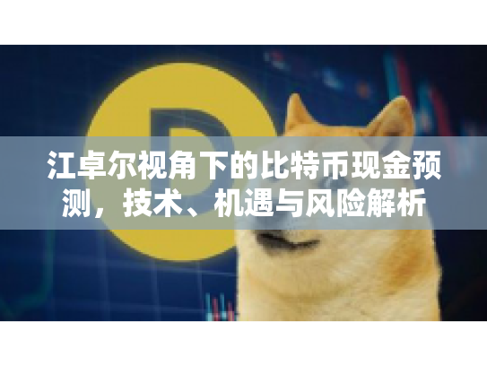 江卓尔视角下的比特币现金预测，技术、机遇与风险解析