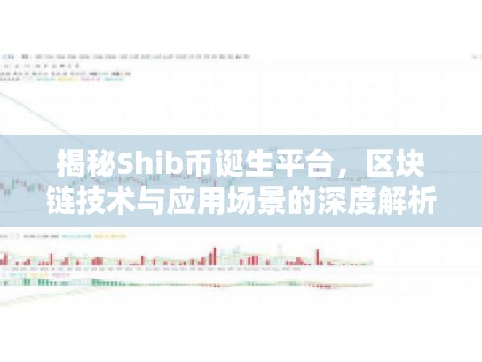 揭秘Shib币诞生平台，区块链技术与应用场景的深度解析