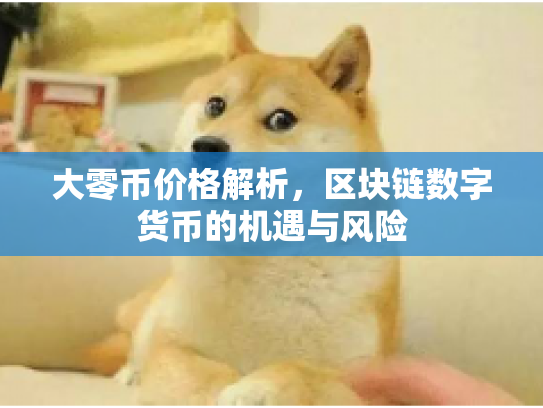 大零币价格解析，区块链数字货币的机遇与风险