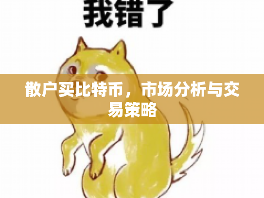 散户买比特币，市场分析与交易策略