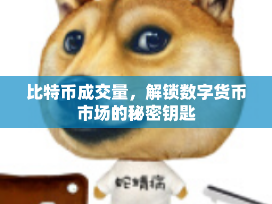 比特币成交量，解锁数字货币市场的秘密钥匙