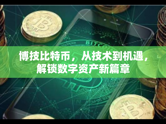 博技比特币，从技术到机遇，解锁数字资产新篇章