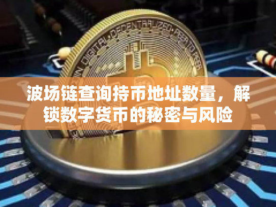 波场链查询持币地址数量，解锁数字货币的秘密与风险
