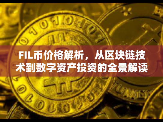 FIL币价格解析，从区块链技术到数字资产投资的全景解读