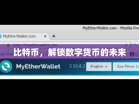 比特币,解锁数字货币的未来 比特币,解锁数字货币的未来
