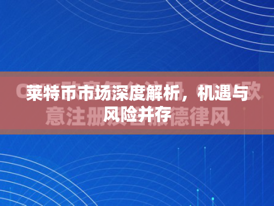莱特币市场深度解析，机遇与风险并存