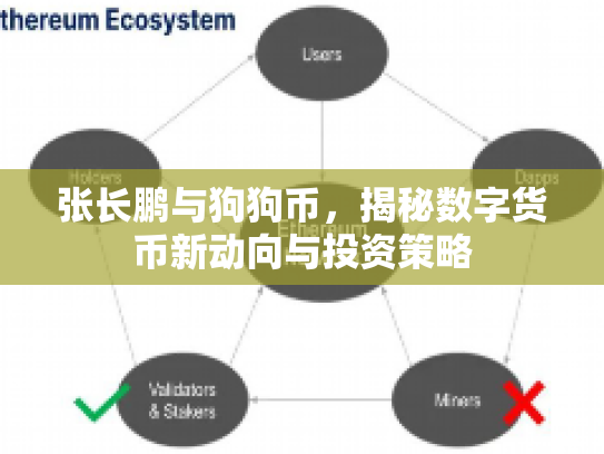 张长鹏与狗狗币，揭秘数字货币新动向与投资策略