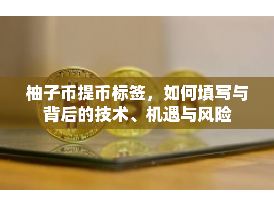 柚子币提币标签，如何填写与背后的技术、机遇与风险