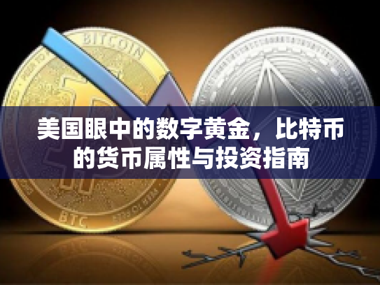 美国眼中的数字黄金，比特币的货币属性与投资指南