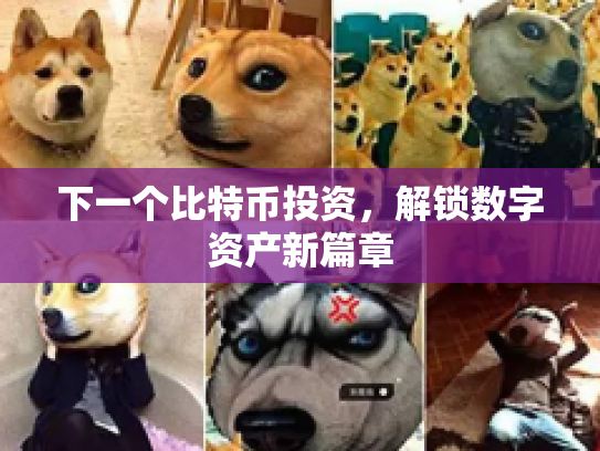 下一个比特币投资，解锁数字资产新篇章