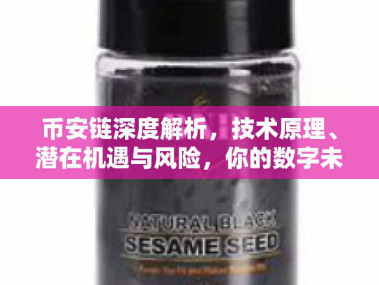 币安链深度解析,技术原理、潜在机遇与风险,你的数字未来之选 币安链深度解析,技术原理、潜在机遇与风险,你的数字未来之选