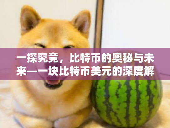 一探究竟,比特币的奥秘与未来—一块比特币美元的深度解析 一探究竟,比特币的奥秘与未来—一块比特币美元的深度解析