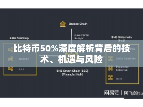 比特币50%深度解析背后的技术、机遇与风险