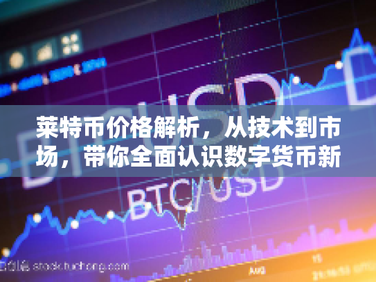 莱特币价格解析，从技术到市场，带你全面认识数字货币新机遇