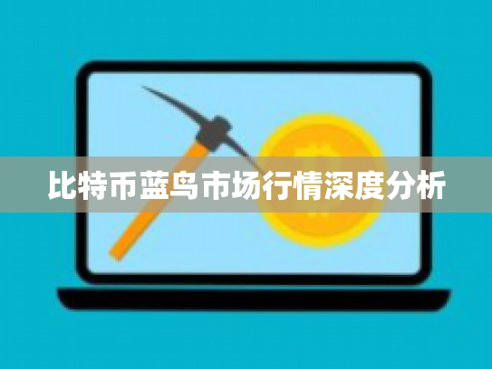 比特币蓝鸟市场行情深度分析