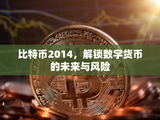 比特币2014，解锁数字货币的未来与风险