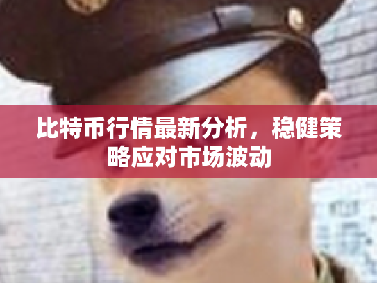比特币行情最新分析，稳健策略应对市场波动