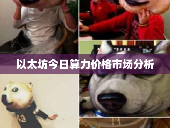 以太坊今日算力价格市场分析