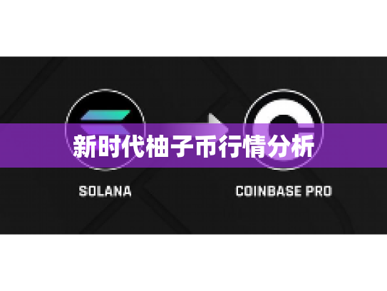 新时代柚子币行情分析