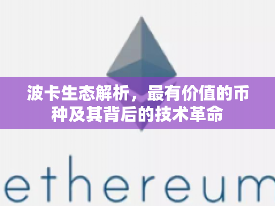 波卡生态解析，最有价值的币种及其背后的技术革命