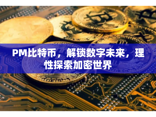 PM比特币，解锁数字未来，理性探索加密世界