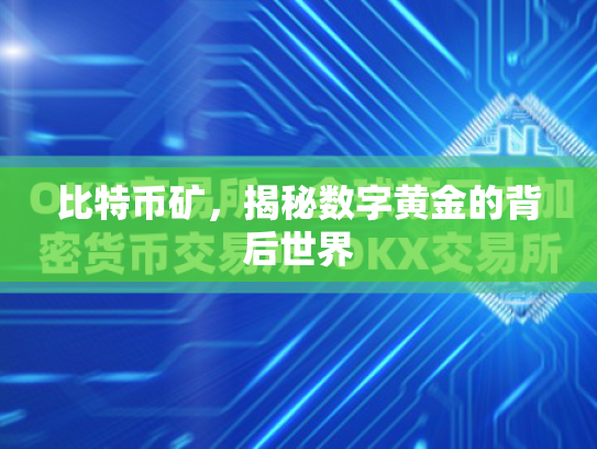 比特币矿，揭秘数字黄金的背后世界