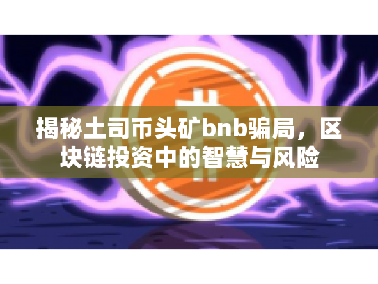 揭秘土司币头矿bnb骗局，区块链投资中的智慧与风险