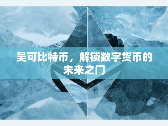 吴可比特币，解锁数字货币的未来之门
