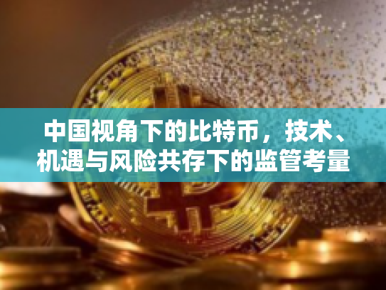 中国视角下的比特币，技术、机遇与风险共存下的监管考量